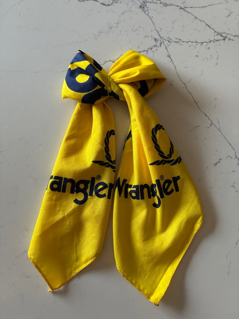 Vintage Wrangler Yellow Bandana with Navy Rope Design
